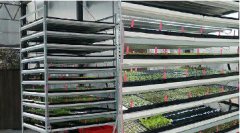科技農業(yè) 安全蔬菜 植物工廠規(guī)劃