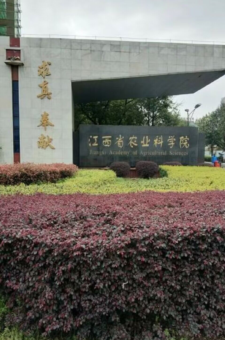 江西省農(nóng)業(yè)科學院——嫁接機采購項目